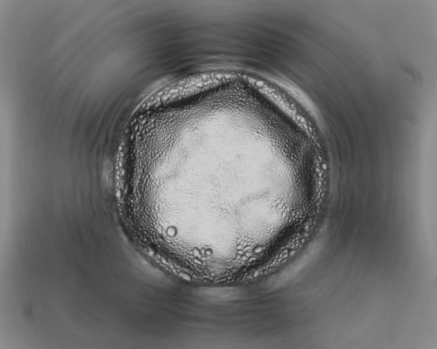 X0000113330953200910051143