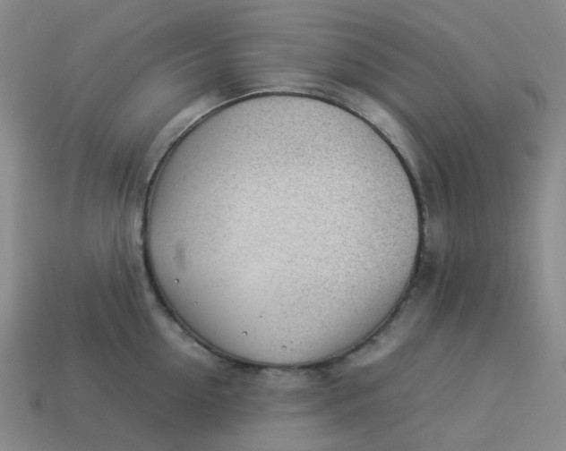X0000113330954200910051143