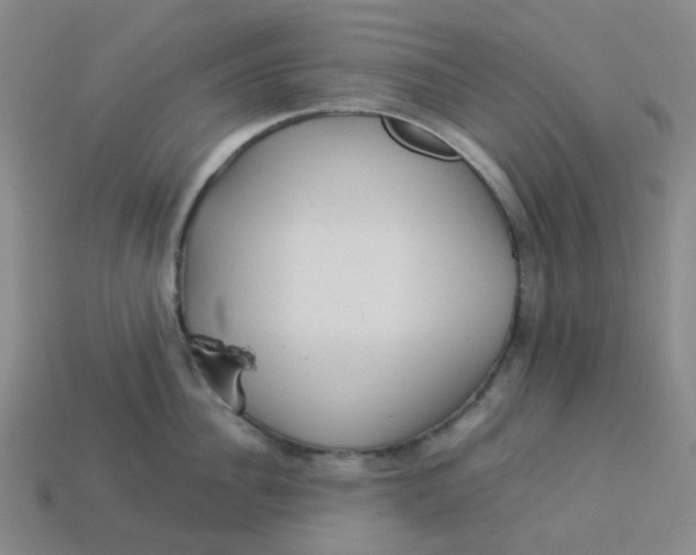 X0000113330956200910051143