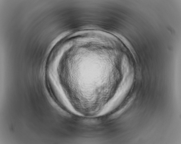 X0000113330957200910051143