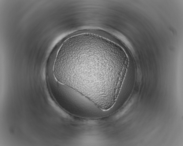 X0000113330958200910051143
