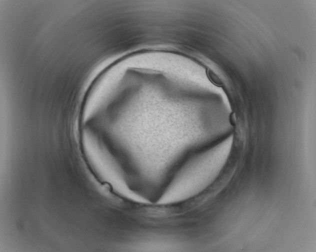 X0000113330959200910051143
