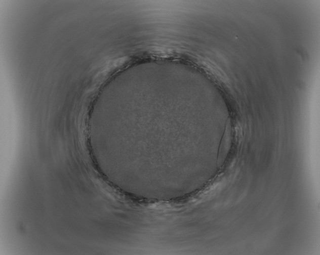 X0000113330961200910051143