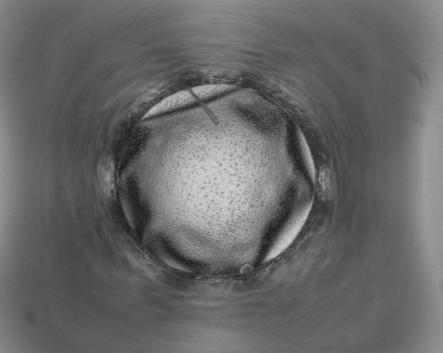 X0000113330963200910051143