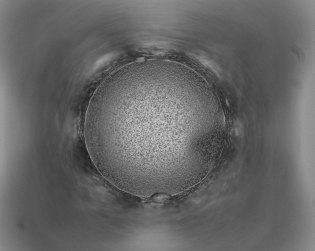 X0000113330965200910051143