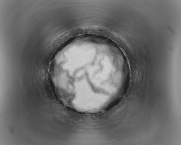 X0000113330966200910051143