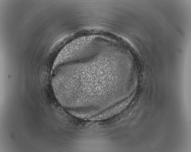 X0000113330967200910051143