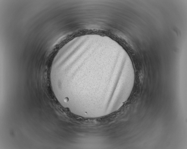 X0000113330968200910051143