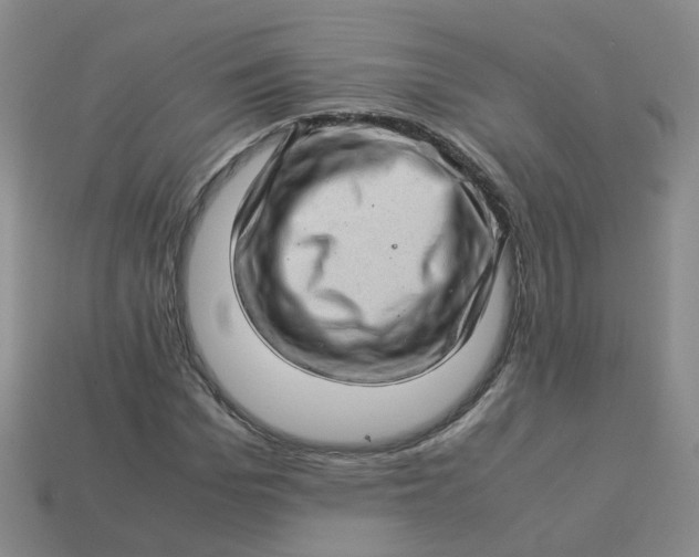 X0000113330969200910051143