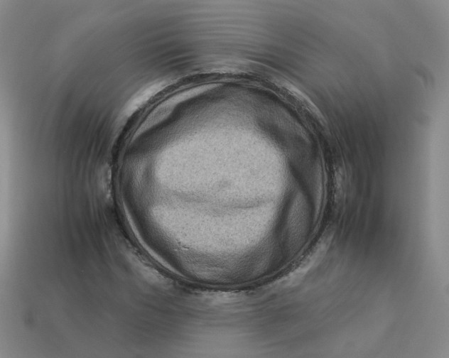 X0000113330970200910051143