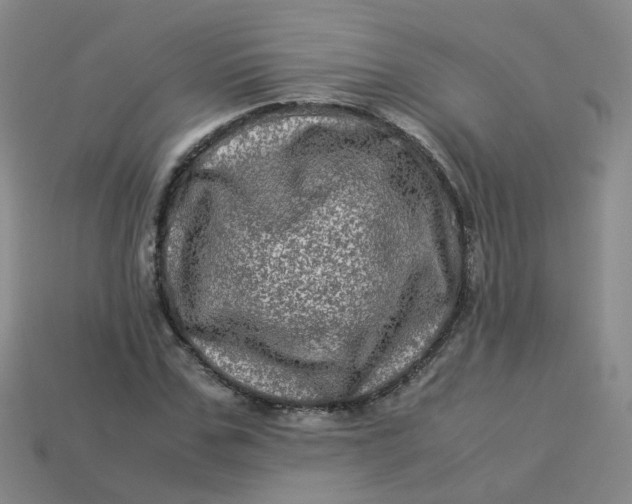 X0000113330971200910051143
