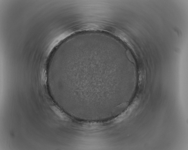 X0000113330973200910051143