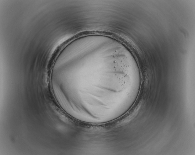 X0000113330974200910051143