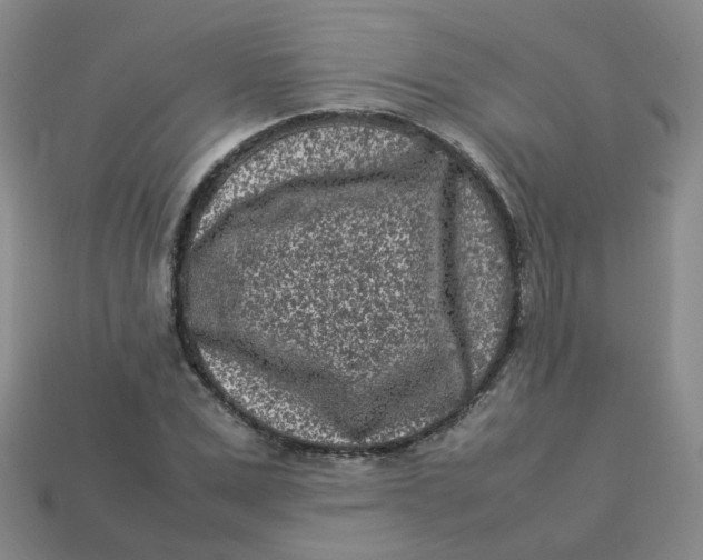 X0000113330975200910051143