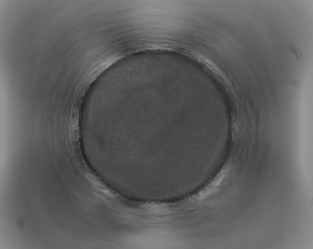 X0000113330977200910051143