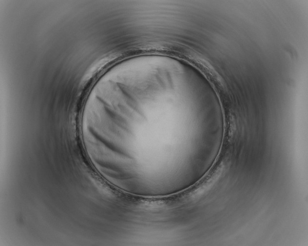 X0000113330978200910051143