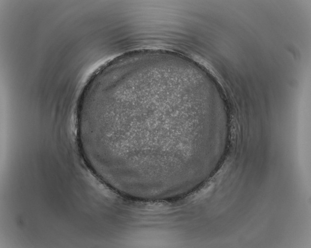 X0000113330979200910051143