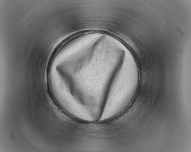 X0000113330980200910051143