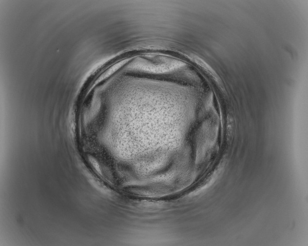 X0000113330981200910051143