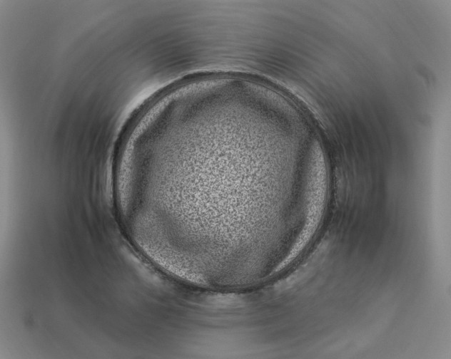 X0000113330982200910051143