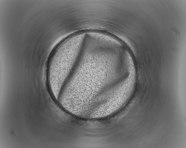 X0000113330983200910051142