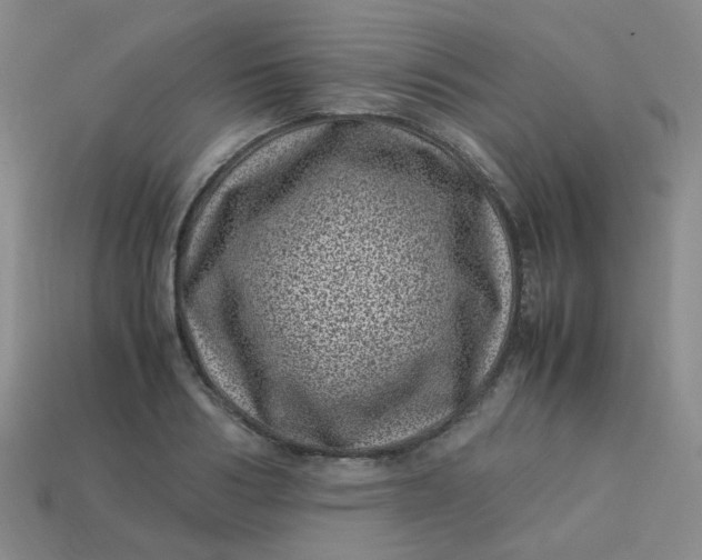 X0000113330986200910051142