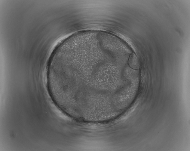X0000113330987200910051142
