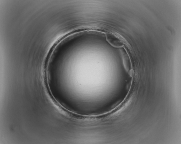 X0000113330989200910051142
