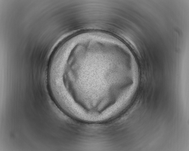 X0000113330992200910051142