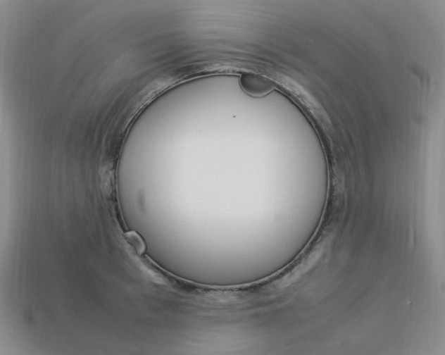 X0000113330993200910051142