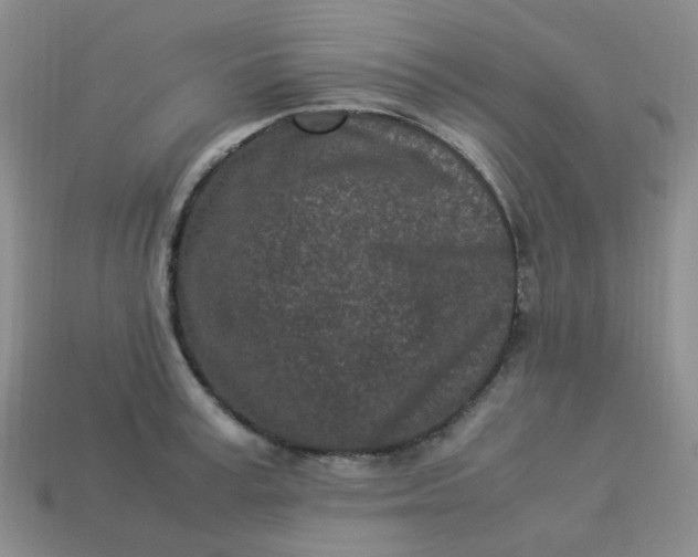 X0000113330995200910051142