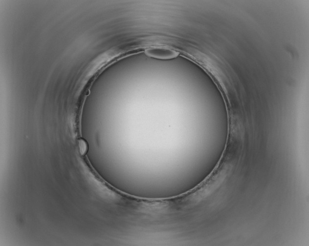 X0000113330997200910051142