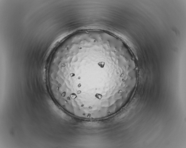 X0000113330998200910051142