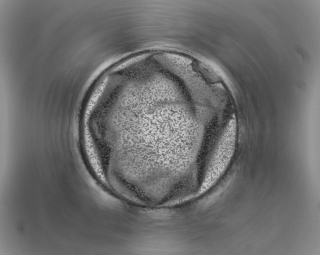 X0000113330999200910051142
