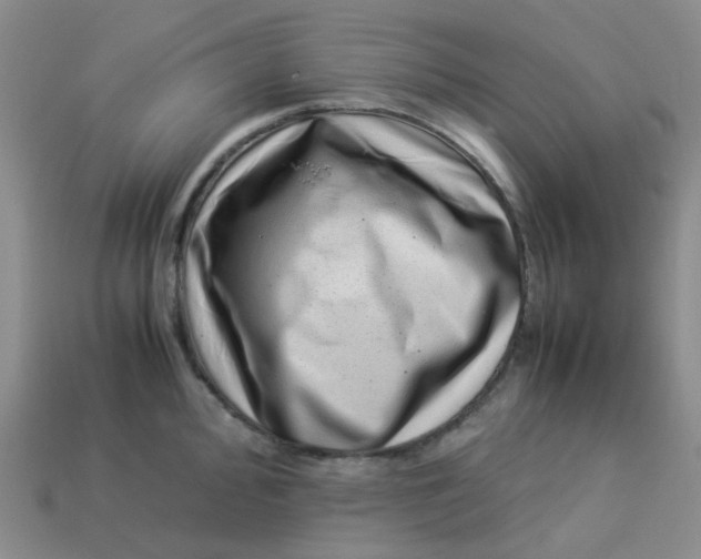 X0000113331000200910051142