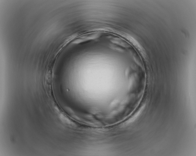 X0000113331001200910051142