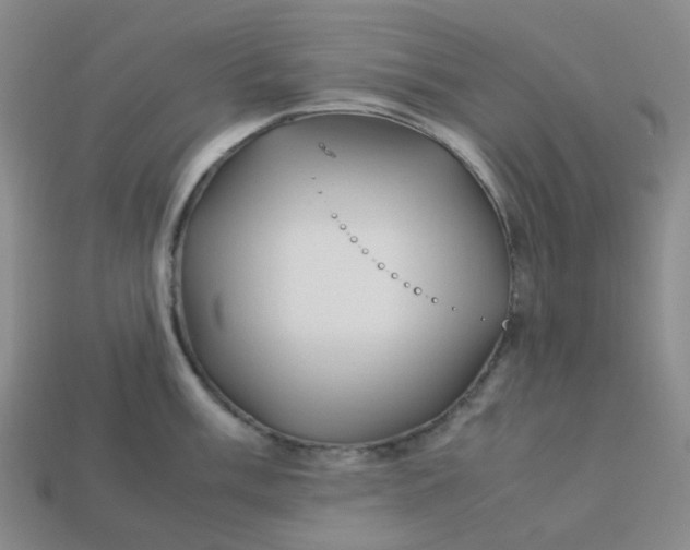 X0000113331003200910051142