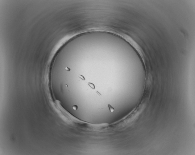 X0000113331005200910051142