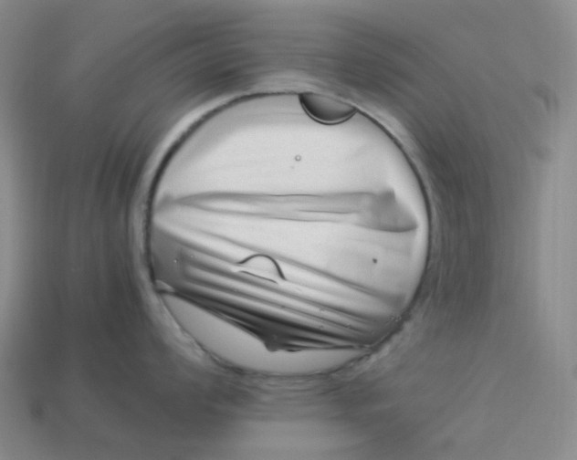 X0000113331008200910051142