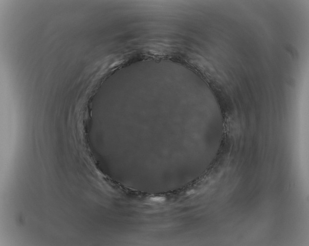 X0000113331009200910051141