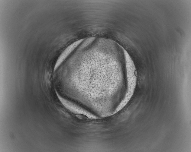 X0000113331010200910051141