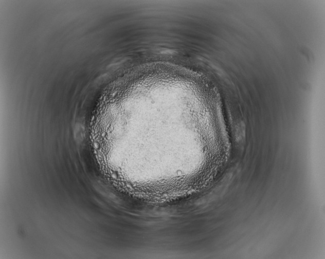 X0000113331011200910051141