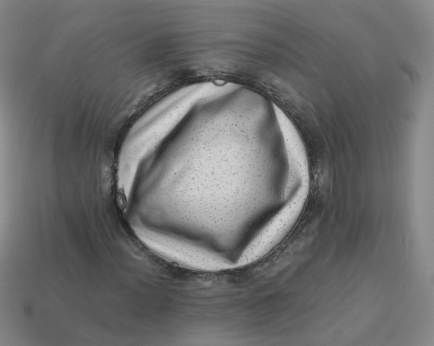 X0000113331012200910051141