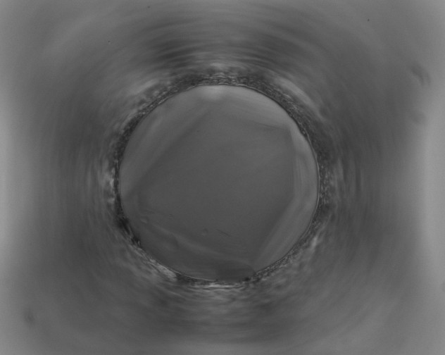 X0000113331013200910051141