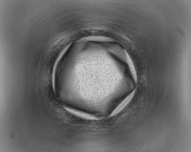 X0000113331014200910051141