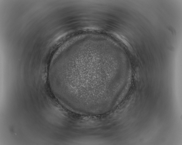 X0000113331015200910051141