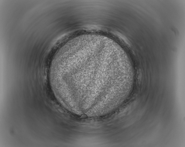 X0000113331016200910051141