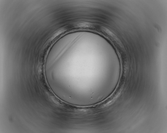 X0000113331017200910051141