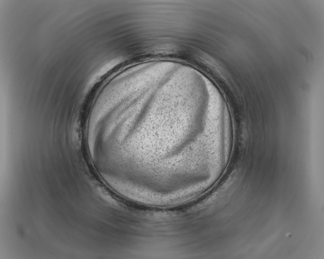 X0000113331018200910051142