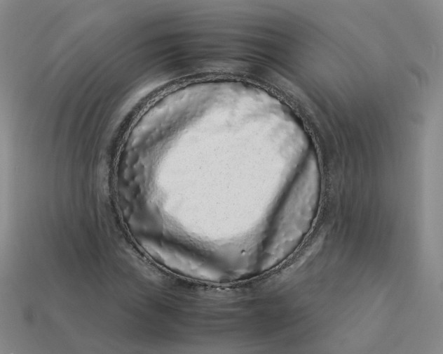 X0000113331019200910051142